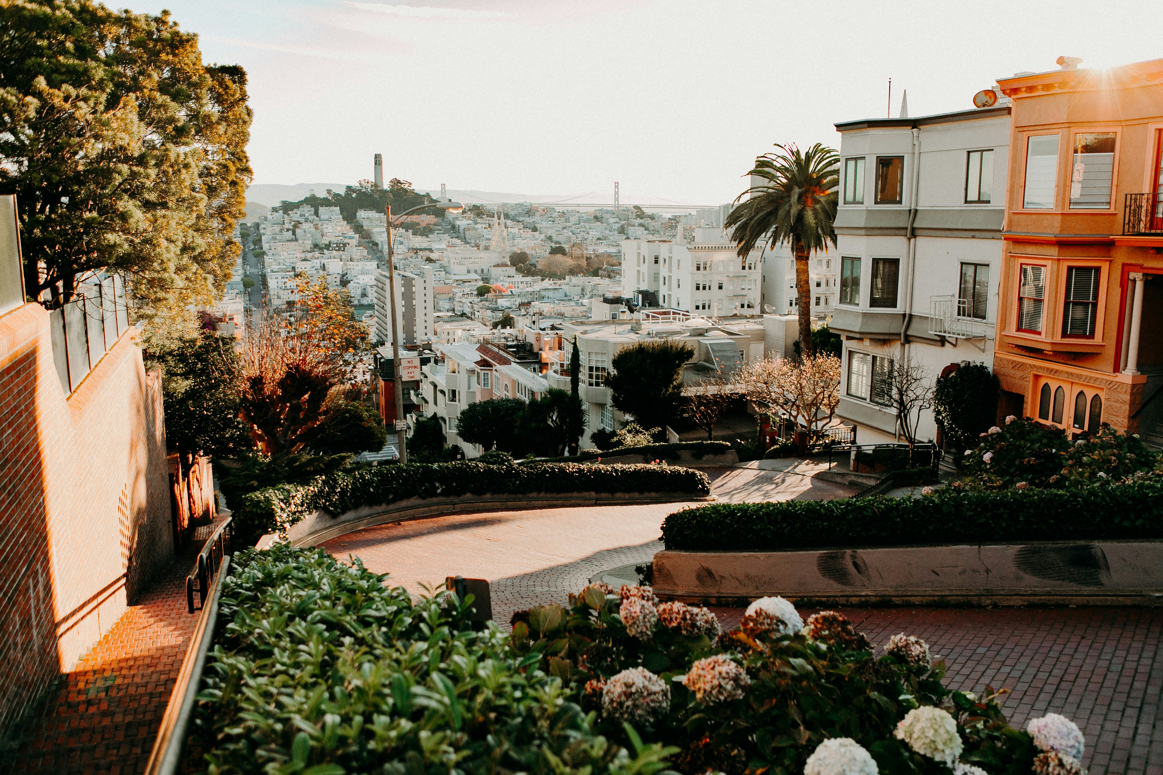 looking down Lombard street's winding path with a view of San Francisco in the background